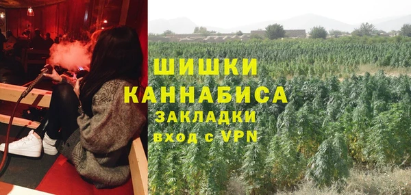 сатива Балахна