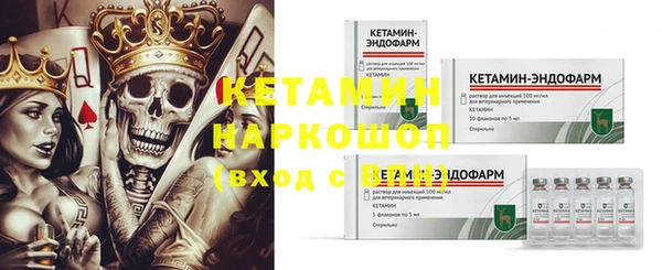 сатива Балахна
