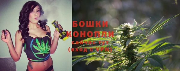 сатива Туринск