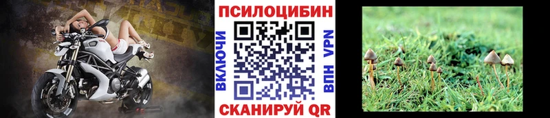 Псилоцибиновые грибы Psilocybine cubensis МЕГА ССЫЛКА Гаврилов Посад